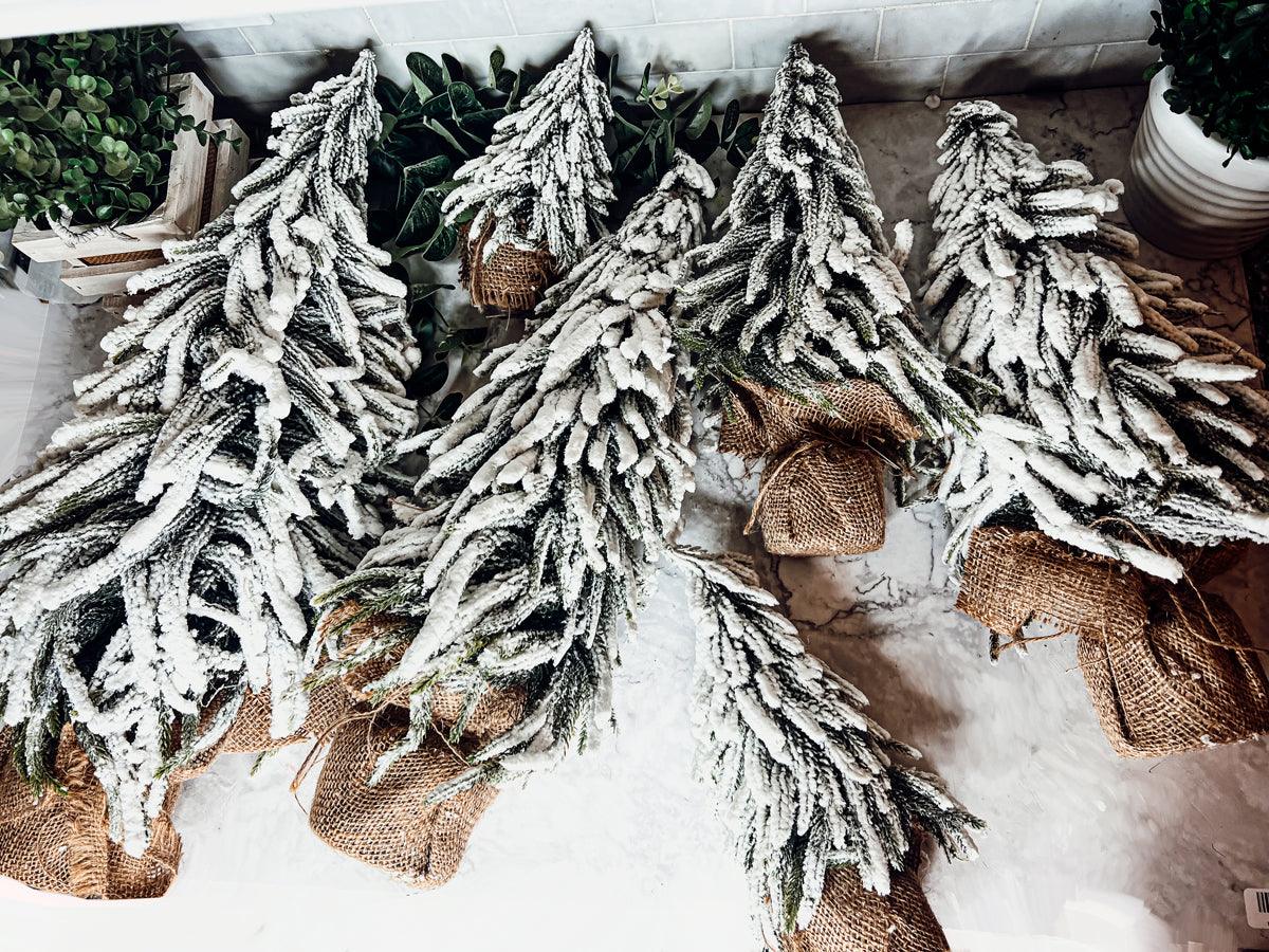 Snow Covered Trees OG