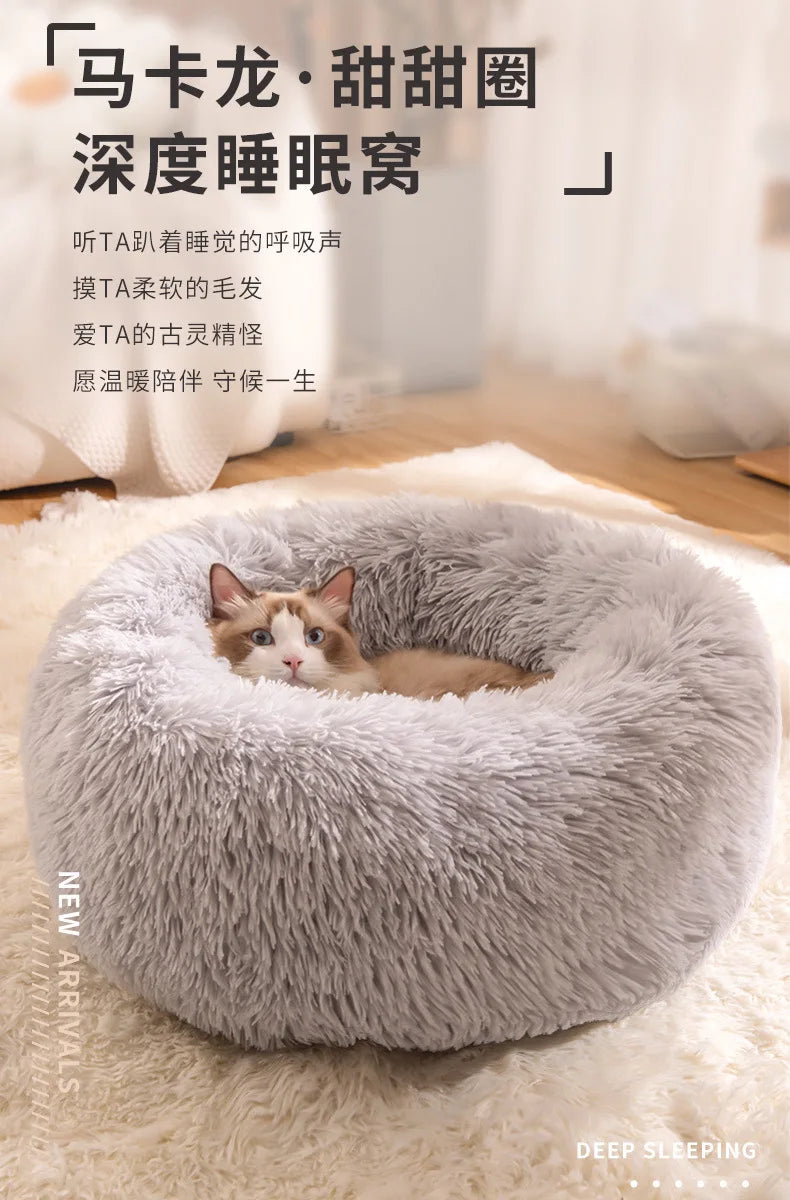 All-Season Cat Beds