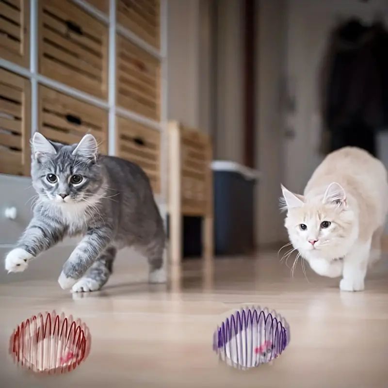 Interactive Cat Toy Ball Set - Spring & Caged Rat Toys