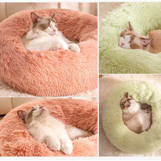 All-Season Cat Beds