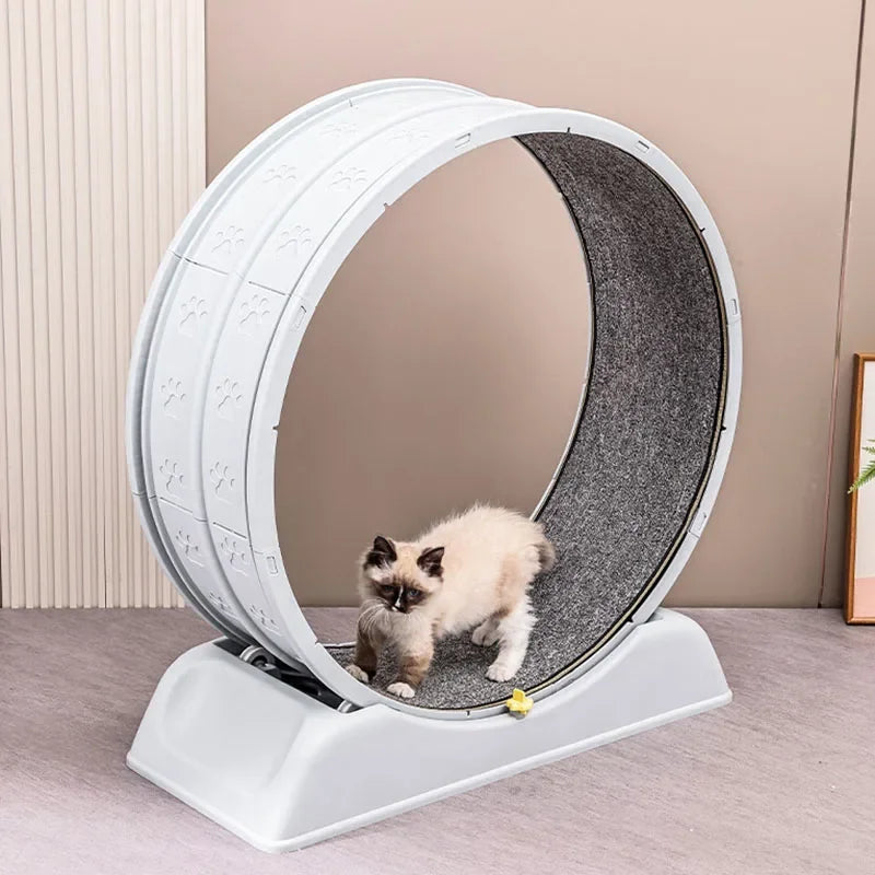 Silent Cat Exercise Wheel