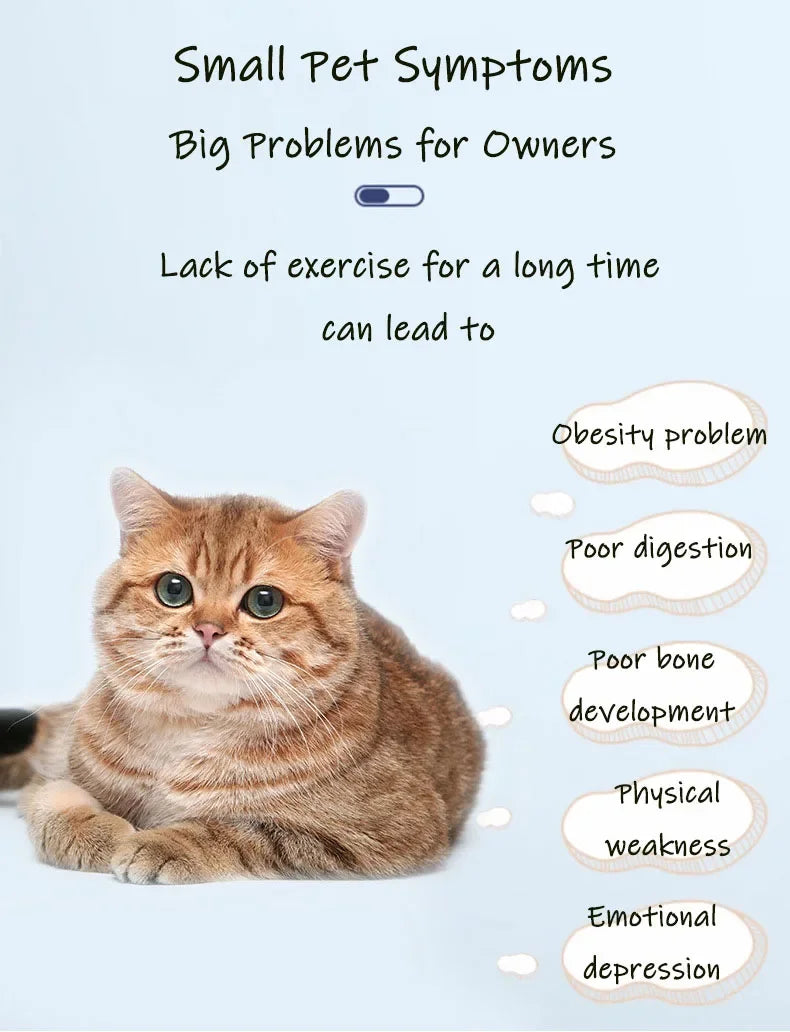 Silent Cat Exercise Wheel